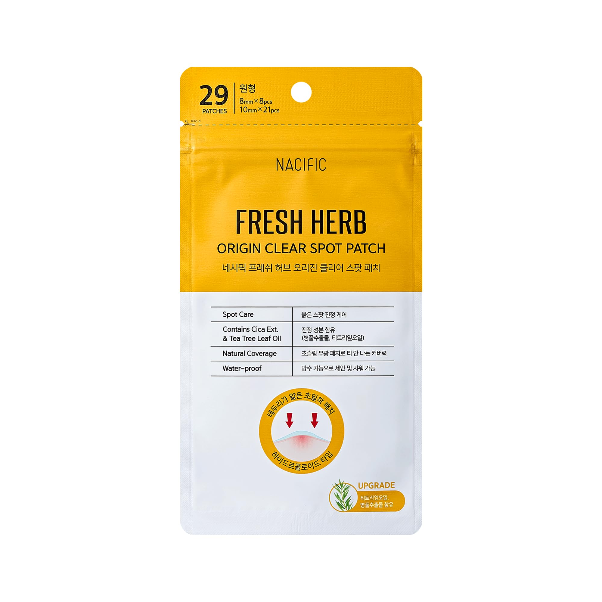 Fresh herb patch viso Nacific